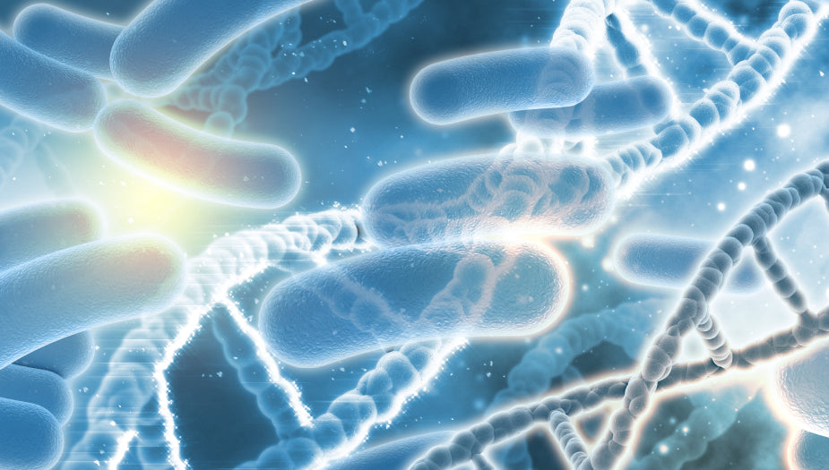 Aprende cómo cuidar la microbiota
