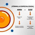 Advantax® Aox Holimel + NMN 120 Cápsulas | Suplemento para Energía y Bienestar Integral