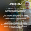 Advantax® Aox Holimel + NMN 120 Cápsulas | Suplemento para Energía y Bienestar Integral